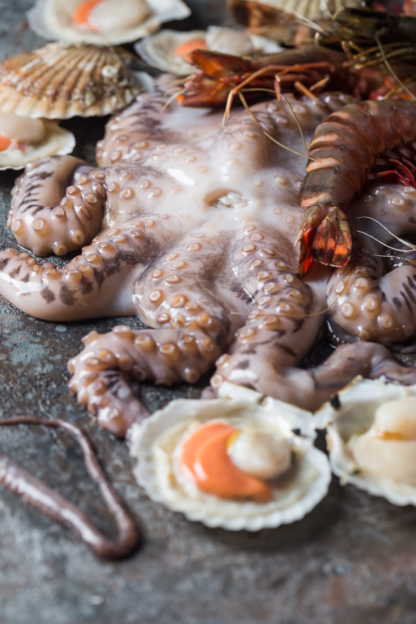 Assortment of seafood with raw fresh octopus, scallops and prawns, as an gourmet dinner background