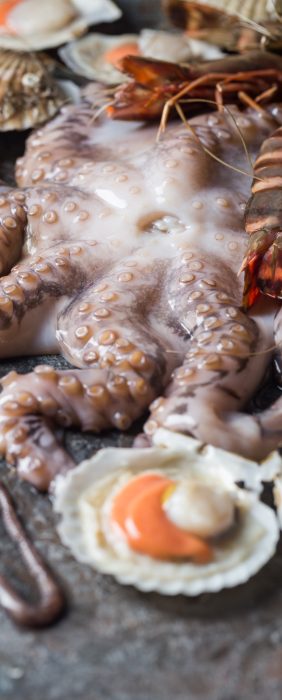 Assortment of seafood with raw fresh octopus, scallops and prawns, as an gourmet dinner background